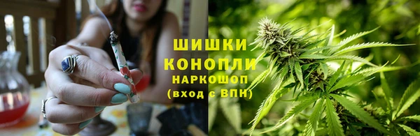 гидра Арсеньев