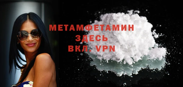 гидра Арсеньев