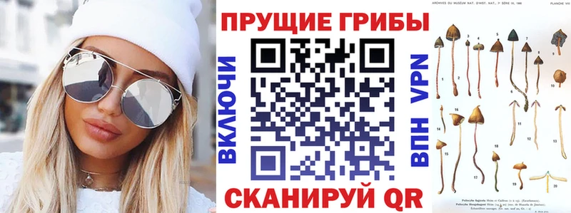 Галлюциногенные грибы Magic Shrooms это клад Чудово